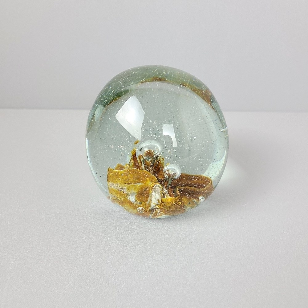 Richard Ritter Art Glass Controlled Bubble Organic Shape Signed Paperweight